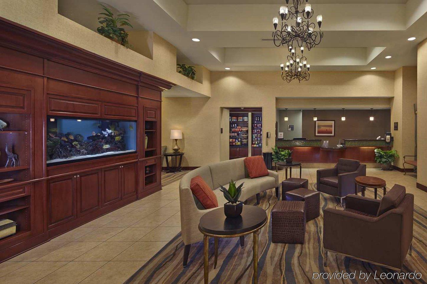 Homewood Suites By Hilton Daytona Beach Speedway-Airport Eksteriør bilde